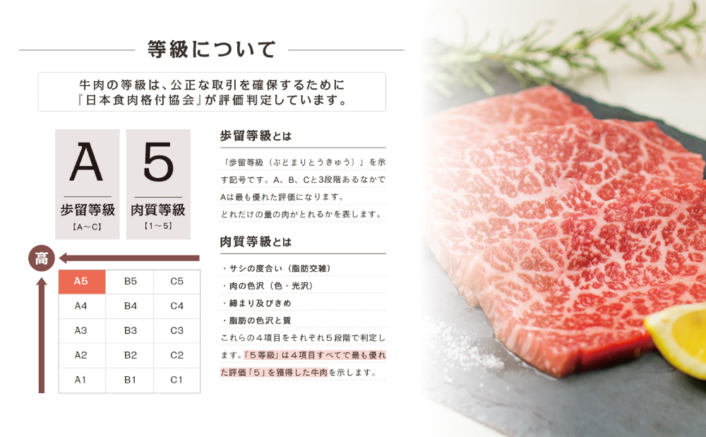 【特撰定期便 全4回】A5等級鹿児島黒毛和牛定期便 A5 A5等級 ステーキ サーロイン 赤身 ヒレ バラ 焼肉 BBQ ブロック肉 ロース肉 すき焼き しゃぶしゃぶ お肉 鹿児島県産 カミチク 黒毛