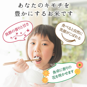 【6回定期】特別栽培米 コシヒカリ ヒロシノキモチ 玄米 10kg 総計60kg 陽咲玲 米 お米 コメ ご飯 ごはん 富山県産 富山県 立山町 F6T-1006