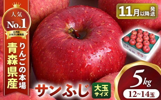 りんご【サンふじ】約5kg（12～14玉・大玉サイズ）【2026年産・先行予約】★2026年11月下旬～12月上旬頃発送予定★ 青森県三戸町産 アップル 林檎 フルーツ 果物 果実 青森県産 三戸 贈