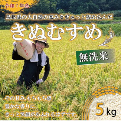 【ふるさと納税】【5年連続特Aランク獲得】令和7年産　原田農園きぬむすめ無洗米5kg【1723704】