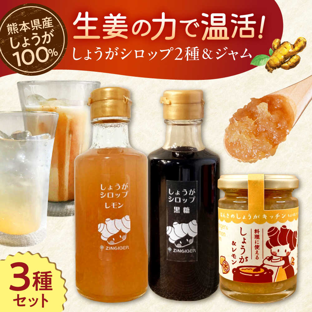 【ふるさと納税】しょうが＆レモン ジャム　生姜 シロップ 2種 レモン・黒糖 セット【ジンジベル】[AYAD010]