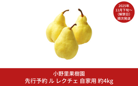 【先行予約】 ル レクチェ 自家用 約4kg(9～12個) 新潟県産ル レクチェ 洋梨 ル レクチェ(ル・レクチェ) [小野里果樹園] 【017S042】