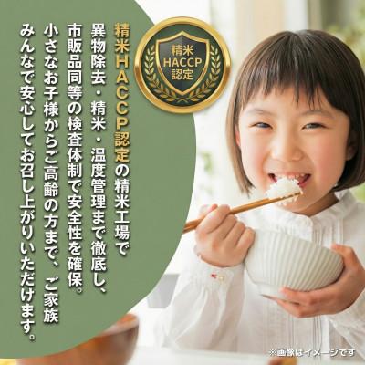 ふるさと納税 神崎町 《 限定復活・令和7年産 》千葉県神崎町産 ふさこがね 10kg(5kg×2袋) |  | 02