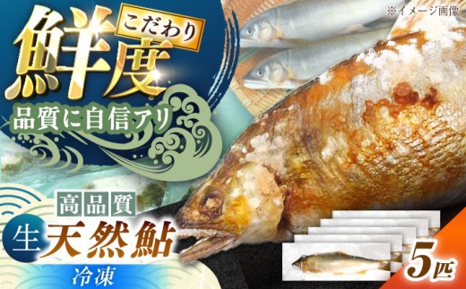 ＜冷凍＞ 清流 付知川の 天然あゆ 18～20cm 5匹入り / 清流付知川産 魚介 川魚 海鮮 高級魚 魚料理 塩焼き 煮付け / 恵那市 / 恵那物産館 [AUFS009]