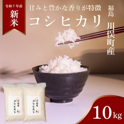 
            川俣町産 コシヒカリ 10kg 精米【1682414】
          