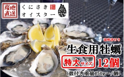 牡蠣 生食用 殻付き くにさきオイスター 特大サイズ12個（殻付き重量150g～/個）　カキ oyster 生牡蠣_2361R-1