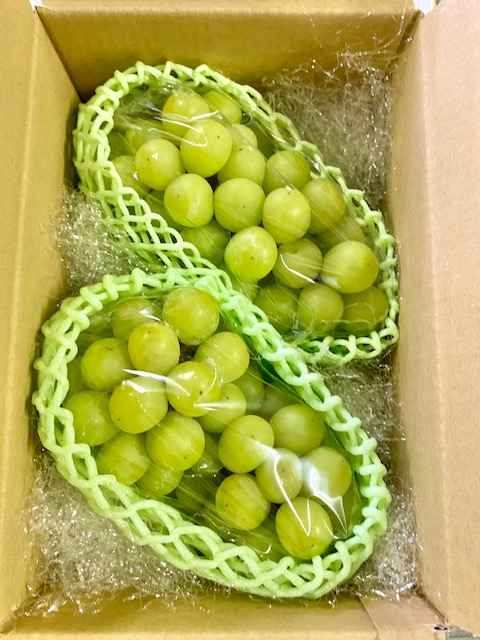 【 数量限定 】 伊万里産 シャインマスカット 約1kg(500g前後×2房) 113-B627