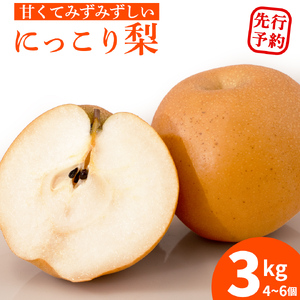 ＜農家直送＞梨 にっこり 4～6個 (3kg) 先行予約 2026年発送 完熟 フルーツ 果物 産地直送 糖度 高い 梨 茨城 人気  (BB006)