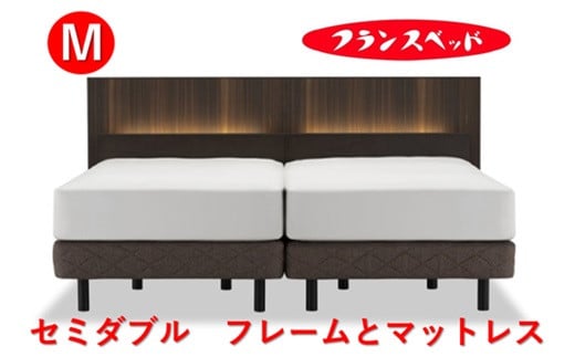
                  【セット】フランスベッド　AW-02C LG / マットレス（FB-MH1000） セミダブルベッド
                