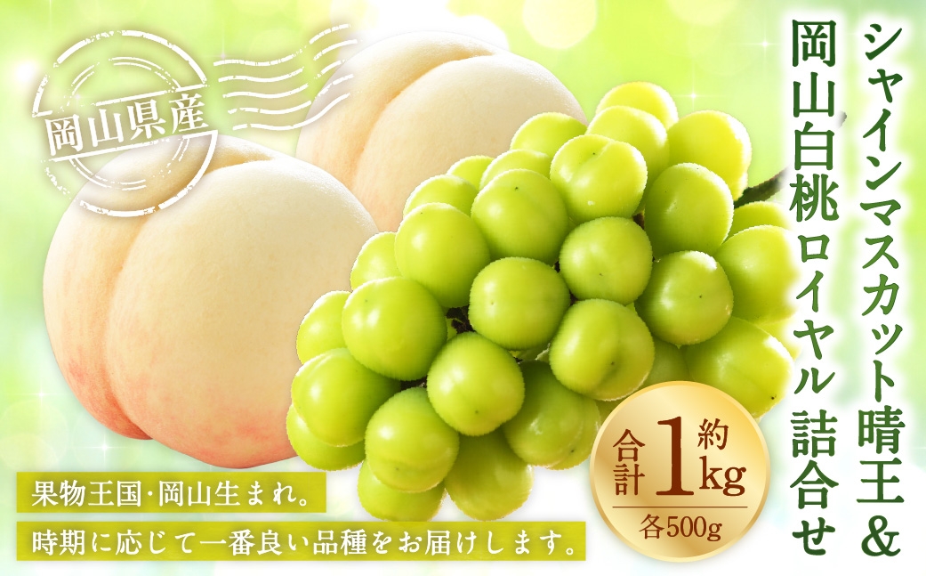 
                  岡山県産 岡山白桃 ロイヤル 2Lサイズ 約250g×2玉・ シャインマスカット 晴王 約500g×1房 詰合せ 白桃 モモ もも 桃 ぶどう ブドウ 葡萄 マスカット くだもの 果物 果実 フルーツ 国産 家庭用 ギフト 贈り物 贈答 【 2026年7月上旬～8月下旬発送予定 】
                