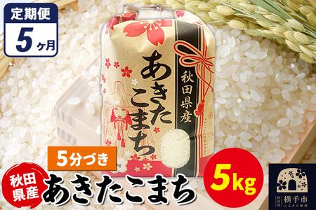 《定期便5ヶ月》あきたこまち 5kg×1袋【5分づき】令和7年産 秋田県産 こまちライン