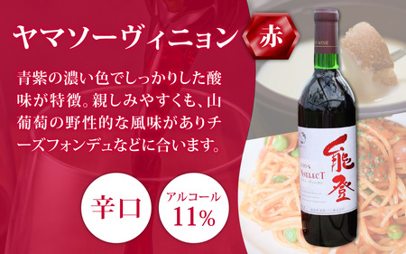 能登ワイン 赤ワイン 2本セット【KYセット】/ 奥能登 能登半島 ワイン わいん 赤  ぶどう ブドウ 葡萄 熟成 牡蠣 かき カキ 能登 テロワール 畑 送料無料