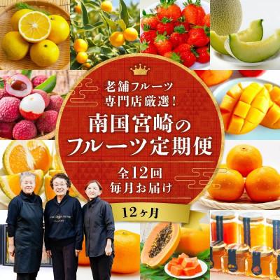 ふるさと納税 宮崎市 【発送月固定定期便】南国宮崎のフルーツ定期便全12回