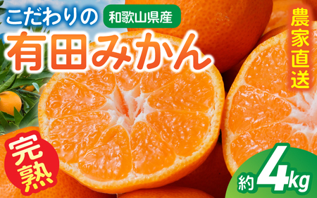 【訳あり・ご家庭用】こだわりの有田みかん 約4kg＋150g(傷み補償分)【2027年1月中に順次発送予定】 【CE-nuk148D-01】