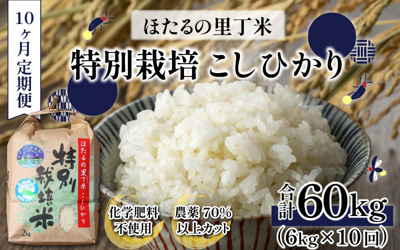 
            【令和6年産 新米】【10ヶ月定期便】ベストファーマー ほたるの里 特別栽培こしひかり 6kg（2kg×3）× 10回 計60kg 化学肥料不使用 農薬70％以上カット [J-002001] ｜ お米 定期便 毎月配送 コシヒカリ こしひかり 特別栽培米 福井県産 国産 白米 精米
          