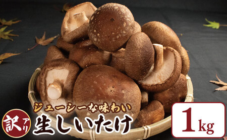 訳あり しいたけ 1kg (250g×4袋) 椎茸 椎茸 椎茸 椎茸 椎茸 発送：1月下旬～