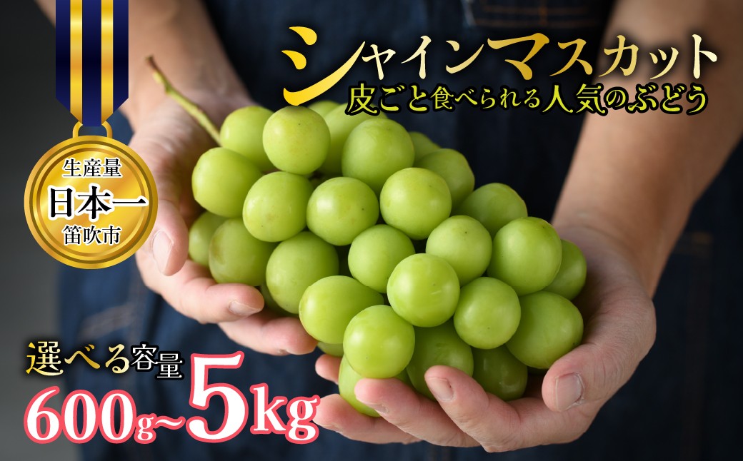 
                  【2026年発送★先行予約】【えらべる容量】山梨県笛吹市産 シャインマスカット 皮ごと食べられる人気のぶどう 262-001-26y-oya
                