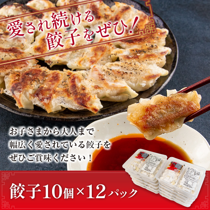 BC67-23_数量限定 自家製餃子 10個×12パック 計120個 惣菜 加工品 国産 おかず 食品 お肉 ぎょうざ 送料無料_イメージ4