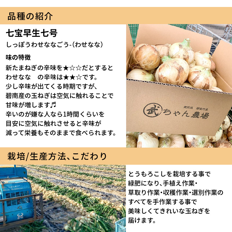 【2026年発送】笑顔で笑顔を作る武ちゃん農場の新玉ねぎ“玉笑ちゃん” 9個　H095-029