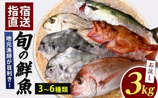 【指宿産直便】漁師が選ぶ季節の鮮魚便 お試しセット(指宿山川水産/A-227) 鹿児島 魚 鮮魚 魚介 旬 お刺身 お寿司 煮付 料理 国産