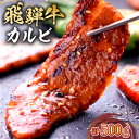 【ふるさと納税】 飛騨牛 カルビ 500g 岐阜県 可児市 焼肉 BBQ バーベキュー 肉 牛肉 和牛 ブランド牛 黒毛和牛 国産 赤身 脂身 霜降り やわらか 旨味 甘み コク アウトドア キャンプ カルビ丼 冷凍 送料無料