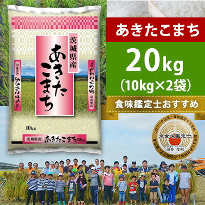 【ふるさと納税】【令和7年産】茨城県産 あきたこまち 精米 20kg(10kg×2袋)【配送不可地域：離島・沖縄県】【1683029】