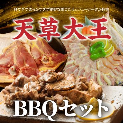 ふるさと納税 天草市 天草大王 BBQセット_S081-018