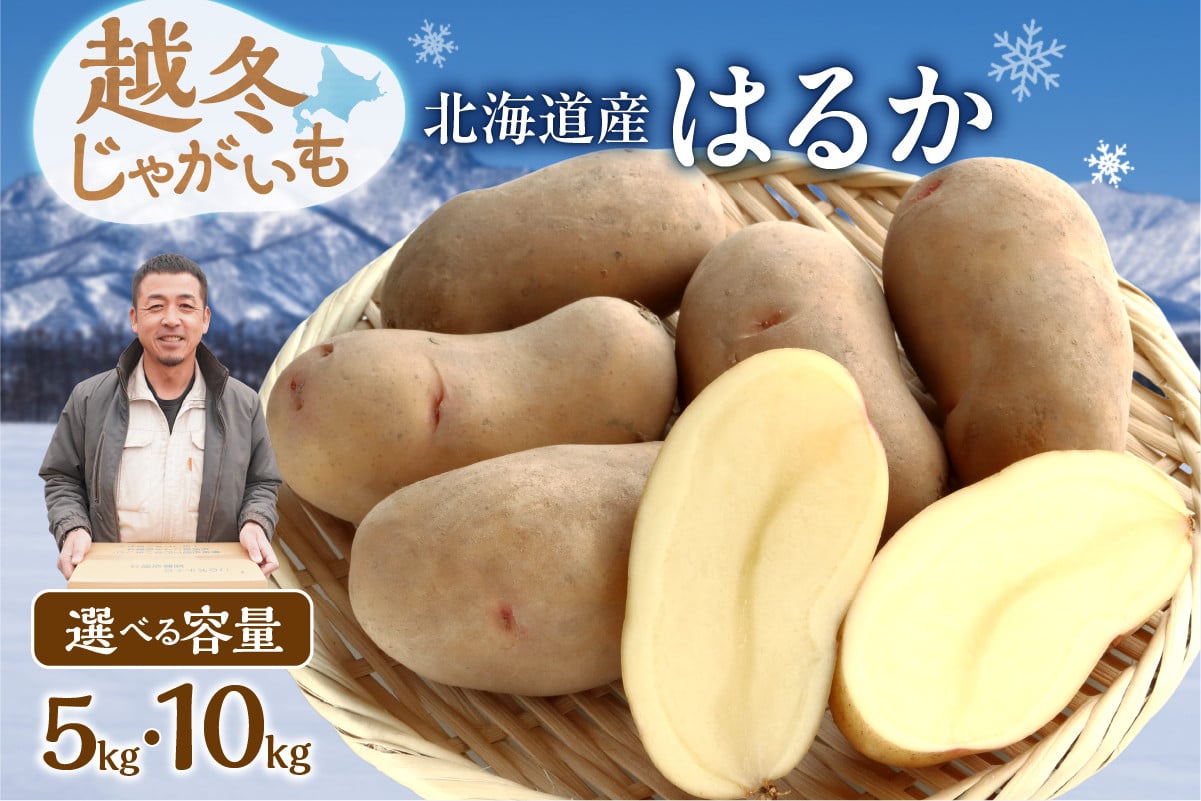 
            今が旬！【選べる内容量！】ホクホク あま～い！ 低温貯蔵！北海道産 越冬じゃがいも はるか 約5kg じゃがいも いも 芋 はるか 産地直送 越冬_S041
          