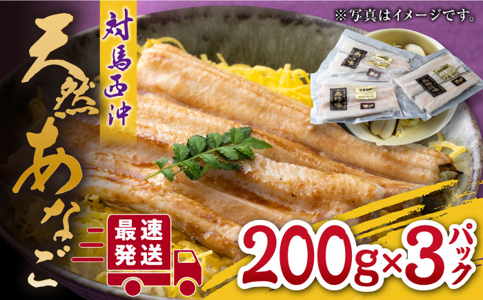 対馬産 西沖あなご 200g×3パック《対馬市》【保家商事】 あなご 穴子 アナゴ 海鮮 海産物 魚介 [WAA005]