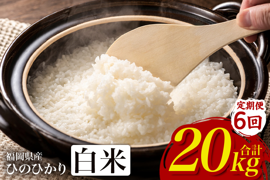 【6回定期便】【ふるさと納税】ひのひかり 米 お米 白米  20kg  20キロ  福岡県産 うきは市 国産 精米 ご飯 ごはん おにぎり お弁当 人気 おすすめ 家庭用 送料無料 新米 ストック 厳選 農家直送 大容量【JA福岡くるめ にじの耳納の里】