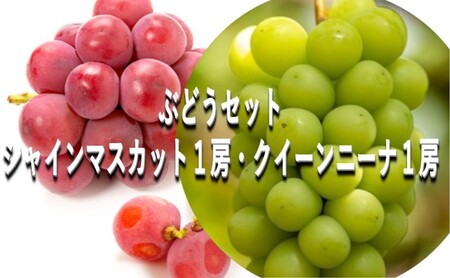 ぶどう 【2026年 早期受付】 ぶどうセット シャインマスカット 1房・ クイーンニーナ 1房（合計約1kg）  岡山県産 シャインマスカット