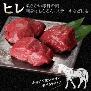  国産 馬刺し 赤身 たれ付き 【ヒレ】 《福岡肥育》 600g 【冷蔵】 176-029