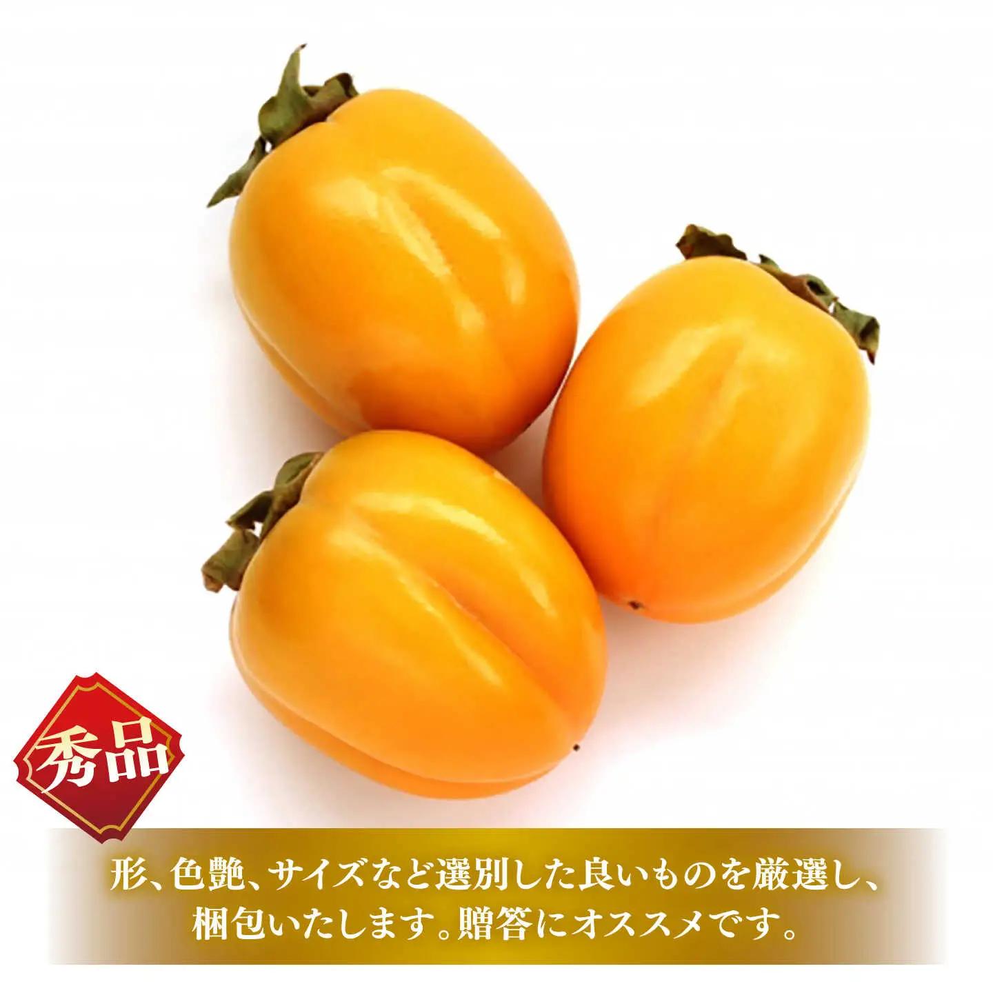 【先行予約】西条柿 （5kg）柿 果物 フルーツ [ALCM004]