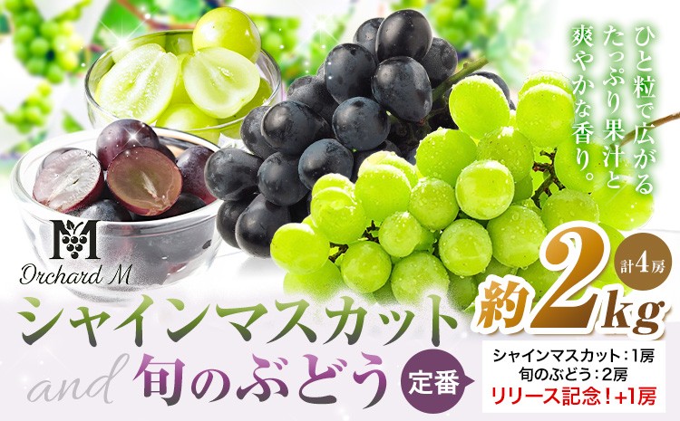 
            〈プラスワン企画実施中〉 シャインマスカット 1房 (約500g～600g)・旬のぶどう 2房 (約500g～600g ×2房) ＋ お試しぶどう 1房 (約200g) 計 約2kg《8月中旬-10月上旬頃出荷》熊本県 長洲町 シャインマスカット ぶどう マスカット 果物 フルーツ スイーツ デザート
          