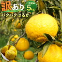 【ふるさと納税】パクパクはるか 約5kg バラ詰め 訳あり B品 はるか 傷あり サイズ混合 ご家庭用 九州産 熊本県産 果物 みかん 柑橘 送料無料【2025年2月下旬-6月下旬発送】