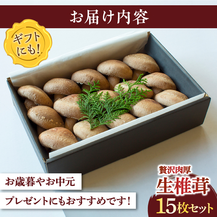 肉厚 生椎茸 【優品】15枚セット / 生しいたけ 生シイタケ きのこ キノコ 茸 / 南島原市 / サンエスファーム [SBX003]_イメージ5