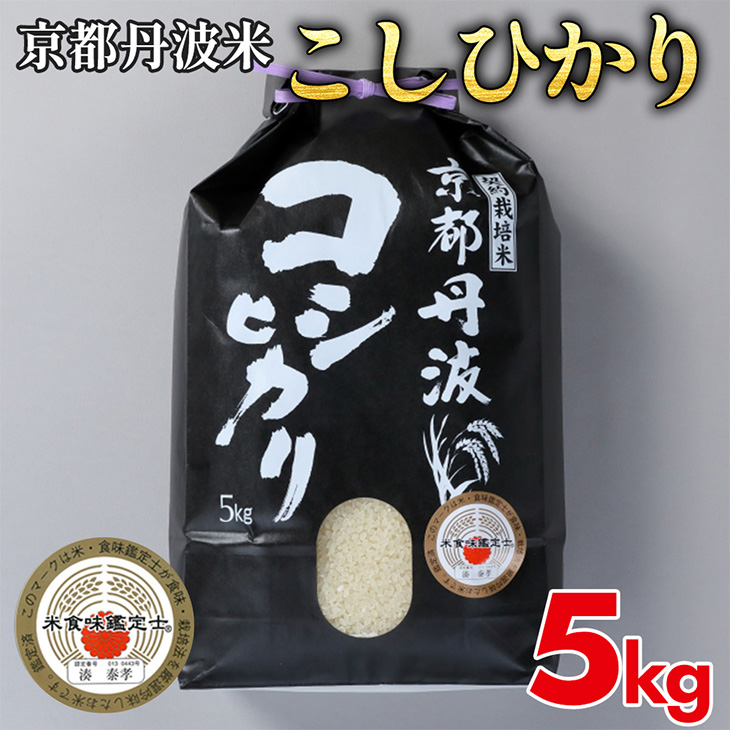 京都丹波米こしひかり 5kg 令和6年産 白米 米 ・食味鑑定士厳選 京都丹波産 ふるさと納税米 ※精米したてをお届け ※北海道・沖縄・離島への配送不可