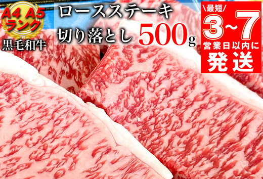 
【7営業日以内発送】京の肉 ひら山厳選 京都府産 黒毛和牛 ロース ステーキ 切り落とし 100g×5枚 計500g｜特選 A5・A4ランク 熟成肉 和牛 牛肉 京都肉 国産 丹波産 冷凍
