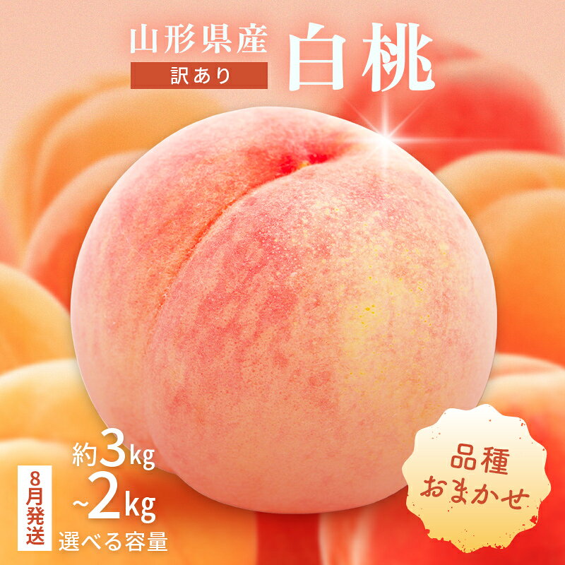 【ふるさと納税】≪2027年先行予約≫ ご家庭用 8月発送 山形県産 品種おまかせ 白桃 約2kg(5～8玉) 約3kg(7〜13玉) 2027年8月上旬から順次発送 選べる容量 果物 くだもの フルーツ 桃 もも ピーチ 白桃 自宅 家庭 訳あり （クラウドファンディング対象） FYN9-731var