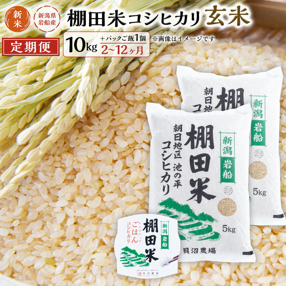 【ふるさと納税】【新米受付・令和7年産米】【定期便】【お届け回数が選べる】 新潟県村上市岩船産 棚田米 コシヒカリ 玄米10kg ＋ 棚田米コシヒカリのパックごはん (150g×1個)2・3・4・5・6・12回 | 毎月 お米 ご飯 こしひかり　　1067123N
