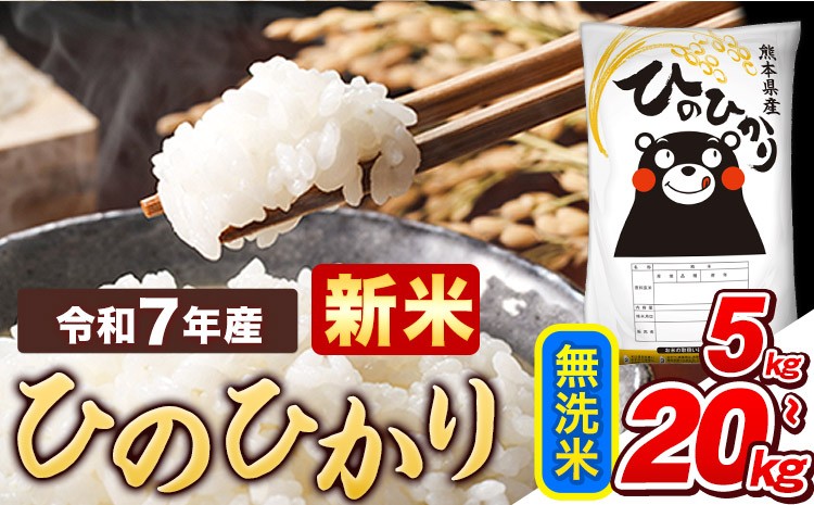 
            新米 令和7年産  無洗米 ひのひかり 《内容量をお選びください》5kg 10kg 15kg 20kg 《9月下旬-11月上旬頃出荷》熊本県産 ふるさと納税 精米 ひの 米 こめ ふるさとのうぜい ヒノヒカリ コメ お米 おこめ 
          