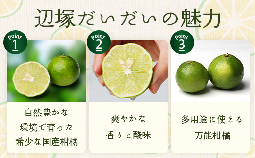 辺塚だいだい 約2kg NK-1｜果物 柑橘 辺塚だいだい へつか 産地直送 詰め合わせ 2kg 国産 新鮮 おすすめ 人気 南大隅町