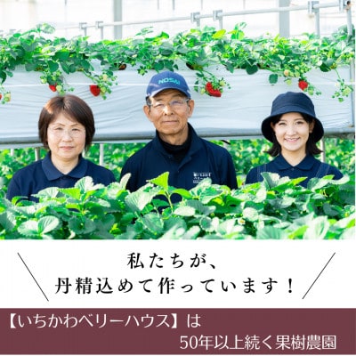 【2026年配送】朝採り!農園直送!化粧箱入りいちご15個入り×2箱(1～2品種)【配送不可地域：離島・沖縄県】