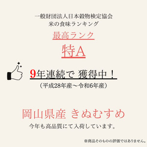 令和7年産 お米 3kg×1袋 きぬむすめ 特A 精米 白米 ライス 単一原料米 検査米 岡山県 ご飯 主食