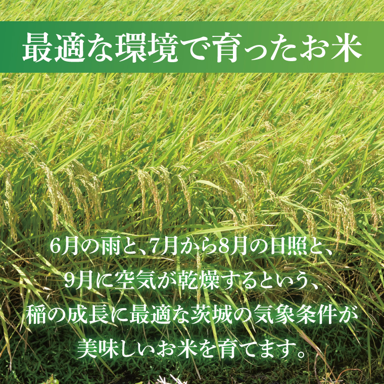 【茨城県共通返礼品】令和7年産 茨城県産 無洗米コシヒカリ15kg（5kg×3袋）【お米 米 こしひかり 無洗米 ごはん 茨城県】（03-53-1）