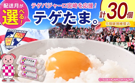 
                  ＜選べる配送月＞テゲたま。 卵 計30個入り 1箱 たまご 国産 テゲバジャーロ宮崎【A348】
                