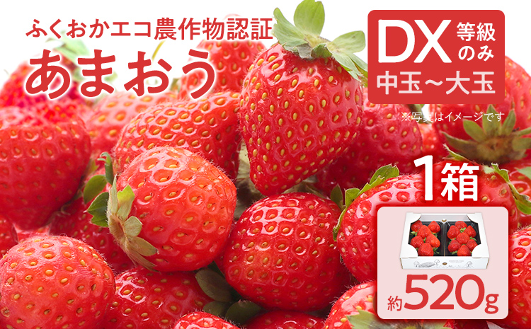 ふくおかエコ農作物認証あまおう DX等級のみ 1箱セット あまおう イチゴ 苺 いちご フルーツ 果物 くだもの 福岡県産 お取り寄せグルメ お取り寄せ 福岡 お土産 九州 福岡土産 取り寄せ グルメ