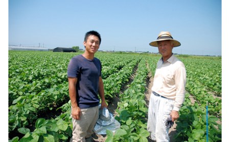 《先行予約 2024年度発送》枝豆の王様『鶴岡白山だだちゃ豆(早生・本豆)』1kgダブル FSY-0157
