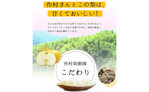 作村果樹園のあきづき梨 約5kg(9～13玉前後) 熊本県氷川町産 作村果樹園《8月下旬-9月末頃出荷》梨 なし---sh_csakuaki_cf8_23_17000_5kg---