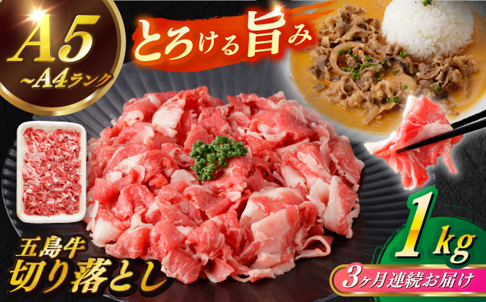 
            【全3回定期便】【幻の和牛を様々なお料理で！】 五島牛 切り落とし 約1kg 5～7人前 小分け 国産 和牛 肉 にく 牛肉 牛 和牛 五島牛 定期便 A4 A5 すき焼き しゃぶしゃぶ 焼肉 カレー 牛丼 長崎和牛 【カミティバリュー】 [RBP079]
          